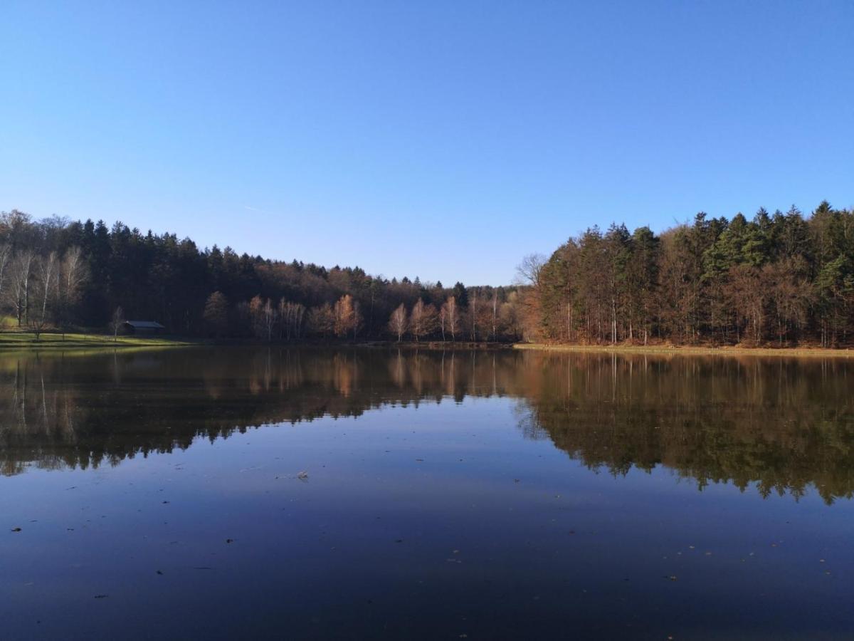 Domacija Vrski Slovenska Bistrica Dış mekan fotoğraf